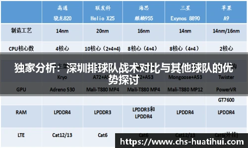 独家分析：深圳排球队战术对比与其他球队的优势探讨