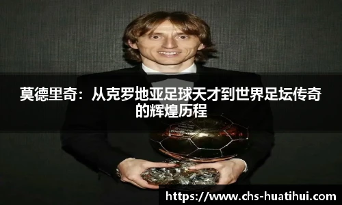 华体会hth体育官网入口